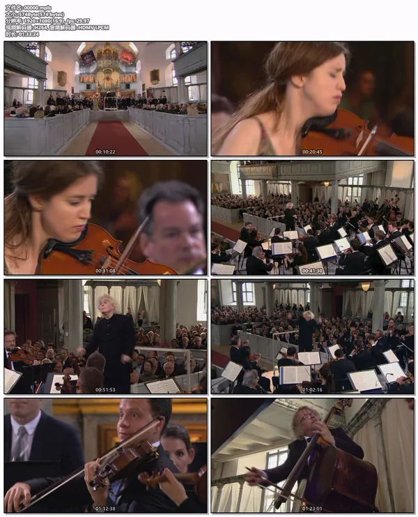 Europakonzert 2016 柏林爱乐乐团