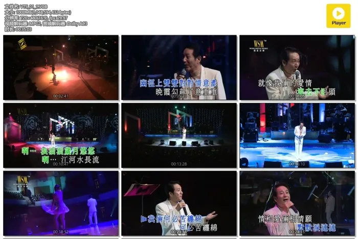 青山2008香港演唱会