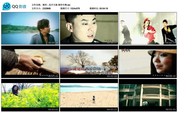 郭玲花开大海DVD