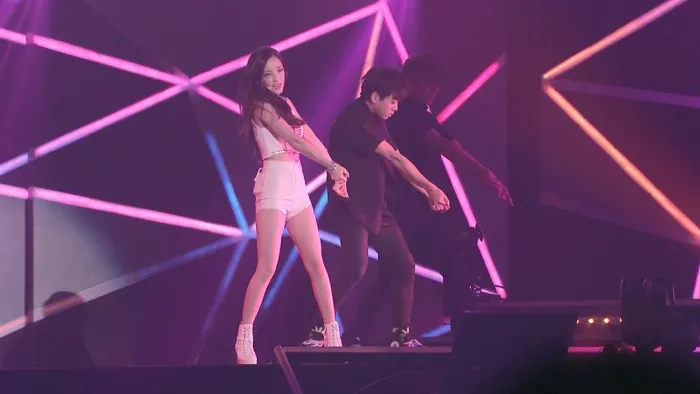 KARA 2014横滨演唱会