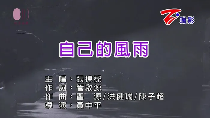 自己的风雨完整版