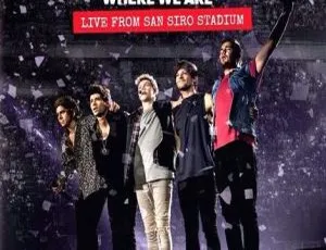 单向乐队 One Direction Where We Are 圣西罗体育场现场演唱会 2014