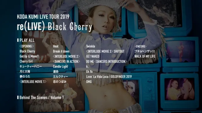 倖田来未2019演唱会