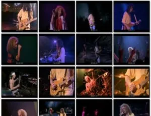 范海伦Van Halen-Right Here Right Now 1992经典演唱会DVD高清现场版