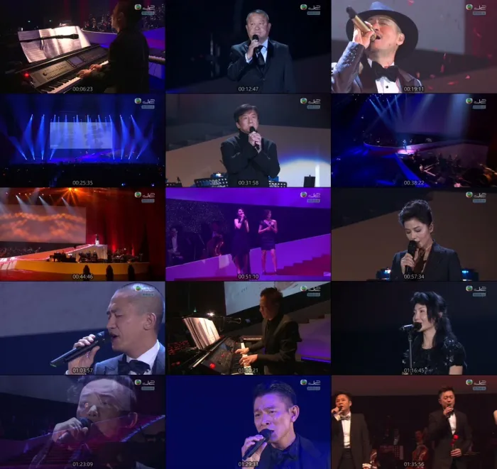 群星香港演唱会2013