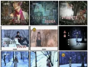 刘秋仪《冬恋》经典KTV金曲专辑 2DVD珍藏版