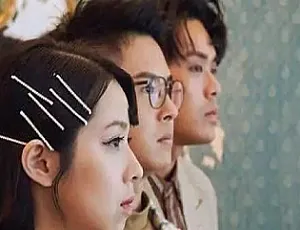 告五人11张专辑单曲合集 热门歌曲完整收录