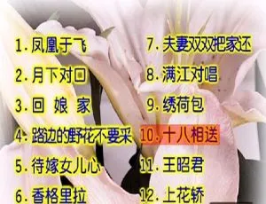 卓依婷《柔情小调》KTV DVD原盘无损音质