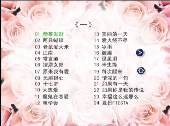刘德华经典DVD