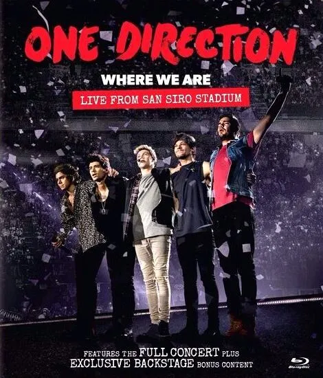 One Direction Where We Are 演唱会