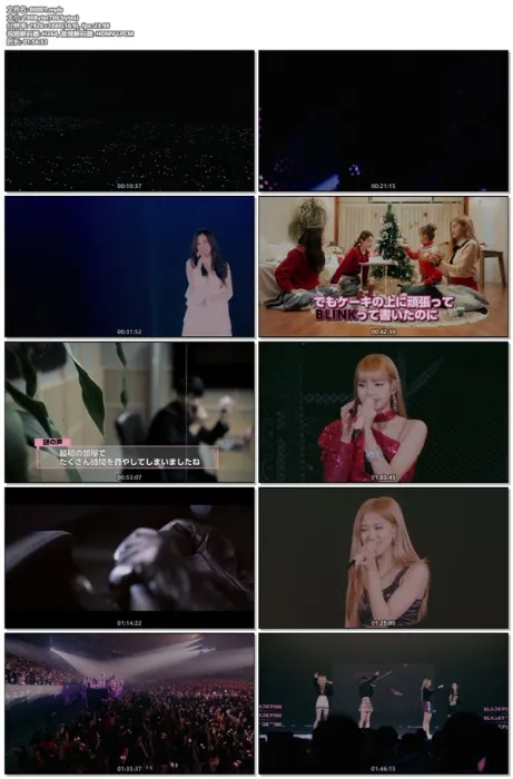 BLACKPINK日本巡回特别终场