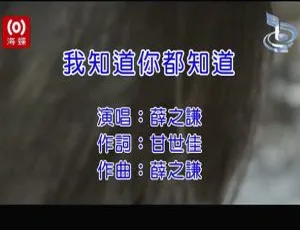 2012薛之谦我知道你都知道 MV国语版 MPG格式