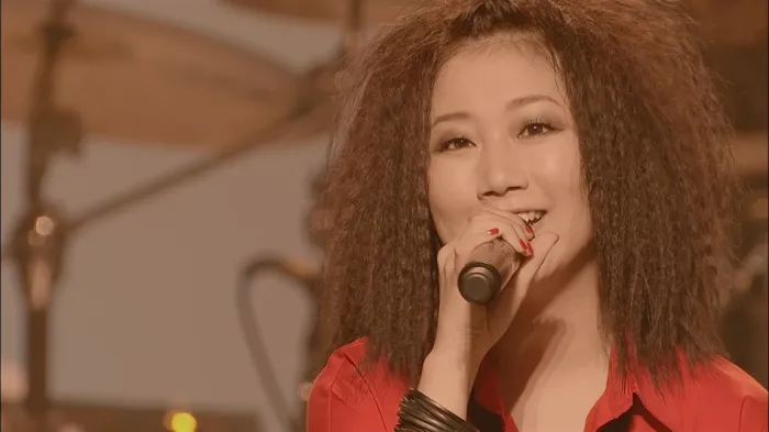 2009日本演唱会