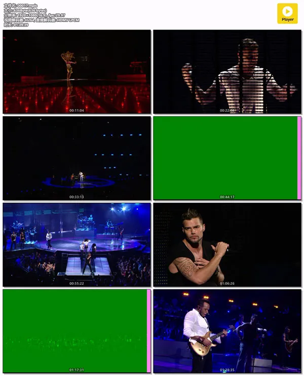 Ricky Martin 2008巡演