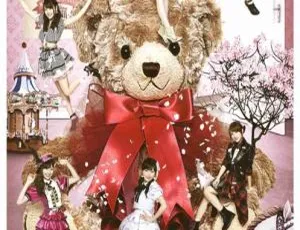 AKB48 国立竞技场春季演唱会 珍藏现场版 完整2DVD-蓝海网