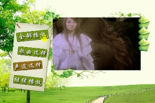 珍藏金曲合集