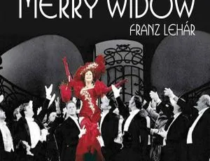 The Merry Widow 2010 蓝光高清版 欧美经典演唱会-蓝海网
