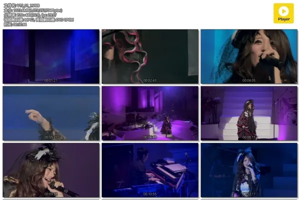 Alan 2011东京演唱会