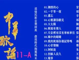 群星中华歌谣11 KTV经典DVD专辑 双碟NRG原盘珍藏