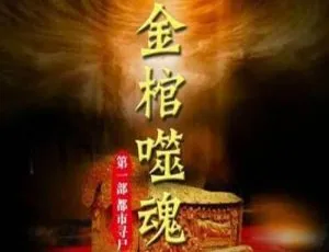 七十有声书：金棺噬魂之都市寻尸全28回悬疑惊悚合集-蓝海网