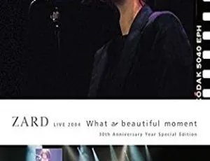ZARD 2004日本演唱会 What a Beautiful Moment 蓝光原盘现场珍藏版-蓝海网