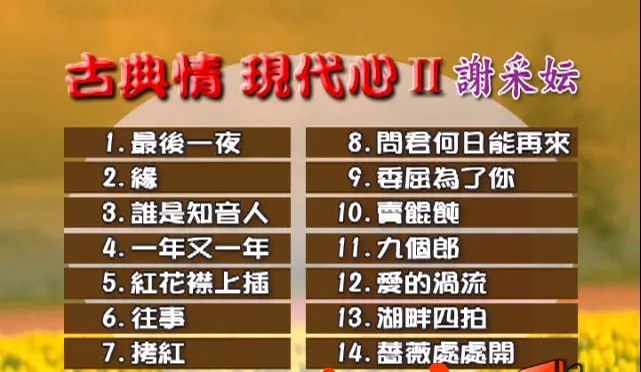 经典情歌精选KTV