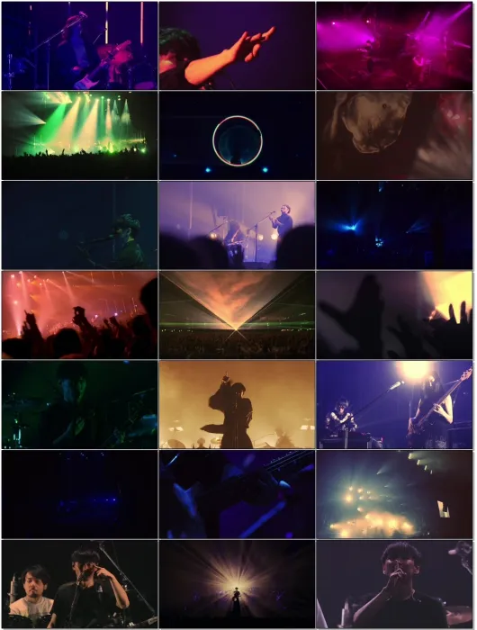 SAKANAQUARIUM 藍光原盤