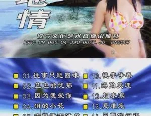 山地情歌泳装版 花仙子KTV DVD原盘 第四辑