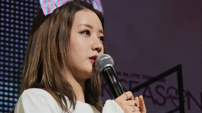 Apink 公信榜演唱会实况
