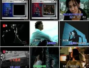 《群星经典老歌 上华卡拉OK金曲精选 第十辑 DVD原盘》
