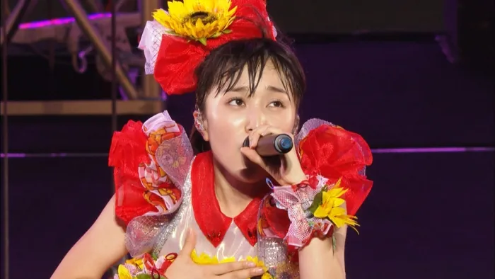 桃色幸运草2013演唱会