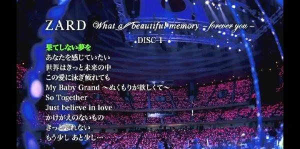 坂井泉水25周年纪念演唱会DVD