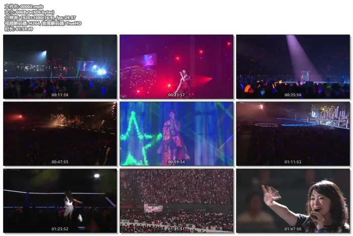 2009蓝光完整版
