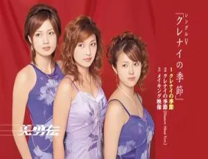 美勇伝 クレナイの季節 2005 日本演唱会 DVD现场高清版-蓝海网