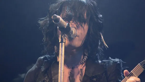 VAMPS 2014伦敦演唱会