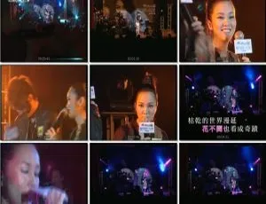 谢安琪2007香港演唱会-第一天Live双角度高清现场