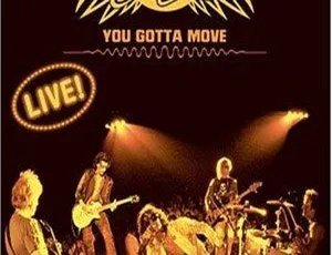 Aerosmith 经典演唱会 Live You Gotta Move 高清DVD收藏