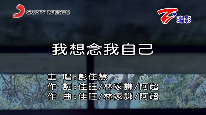 彭佳慧《我想念我自己》