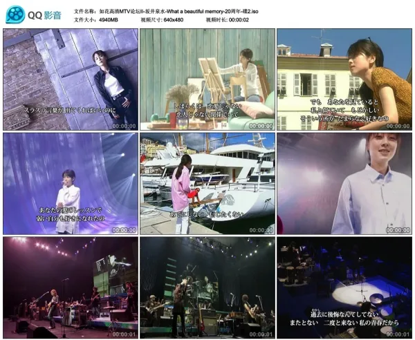 坂井泉水20周年演唱会DVD