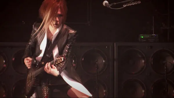 2015 the GazettE 东京演唱会DVD