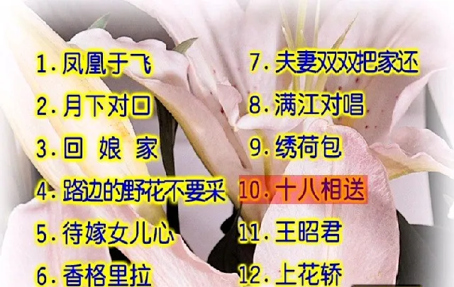 KTV DVD原盘
