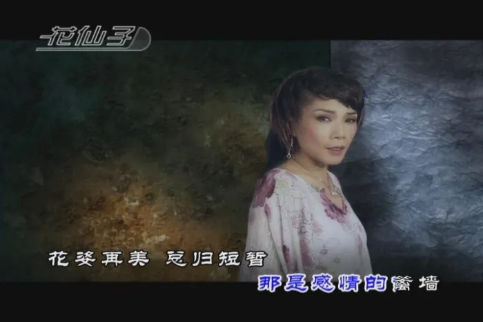 珍藏版DVD