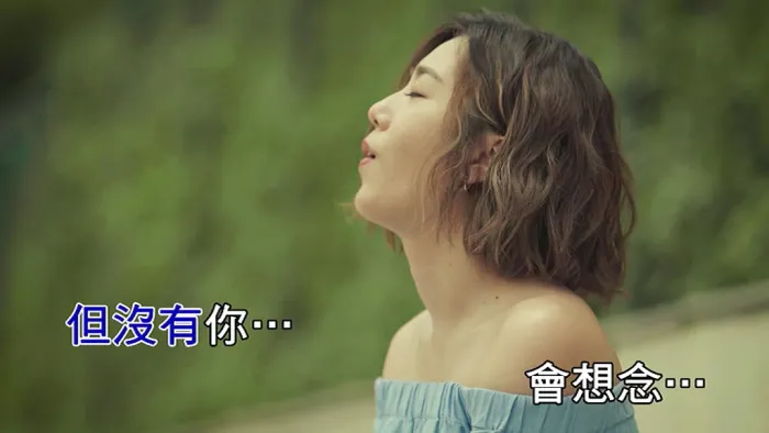2019国语MV