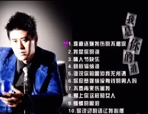 张振宇 - 我是你的谁 KTV DVD原盘高清音乐专辑-蓝海网