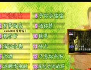 蔡小虎 赌情博爱 KTV原声专辑 经典DVD高清