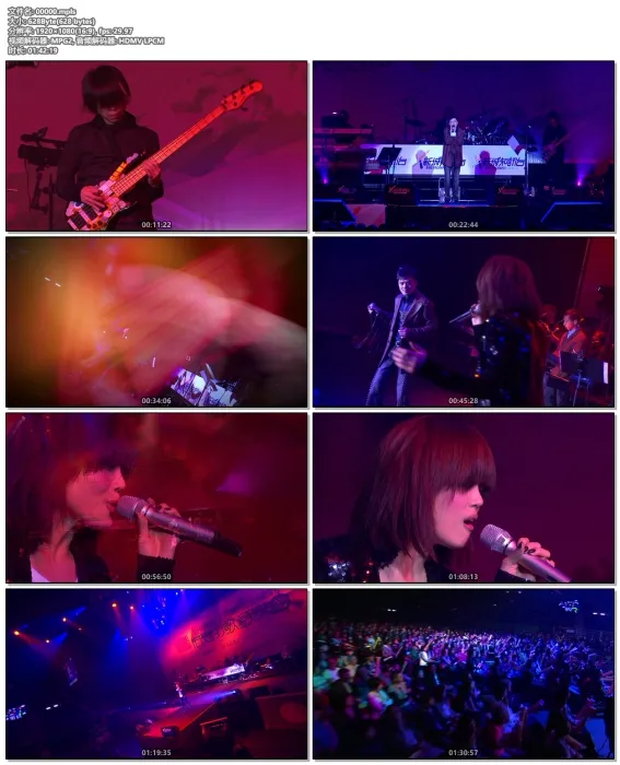 黄耀明容祖儿2009演唱会
