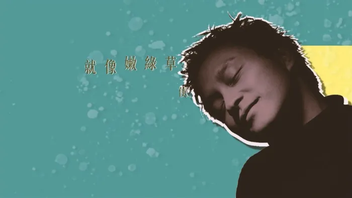 张国荣限量纪念专辑