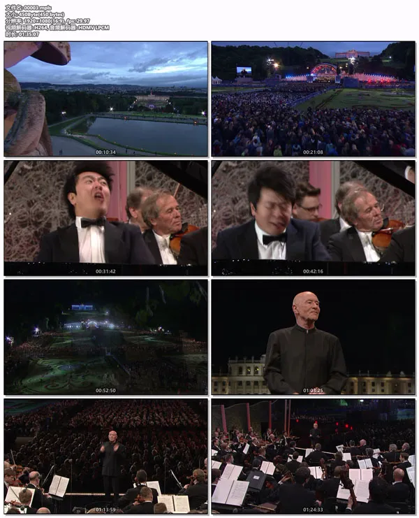 2014美泉宫夏季音乐会