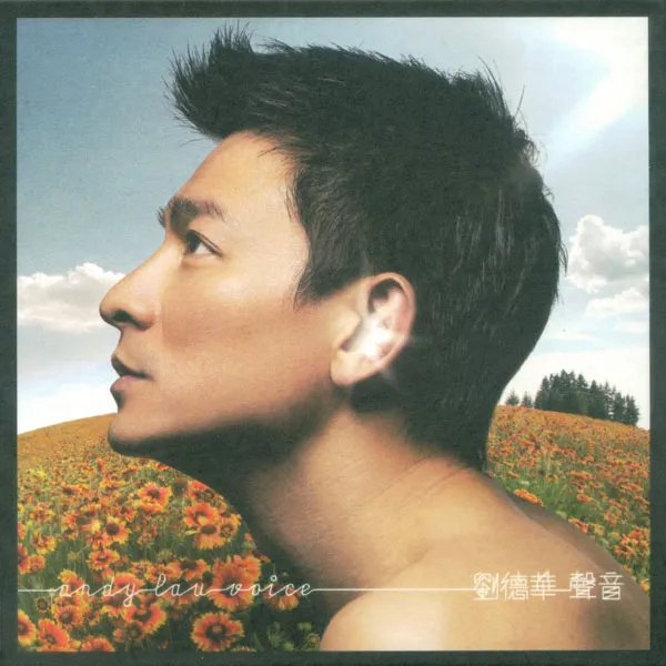 2006刘德华庆功版DVD