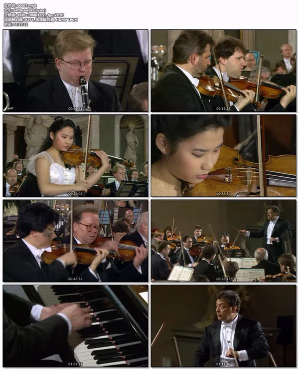 Europakonzert 1995